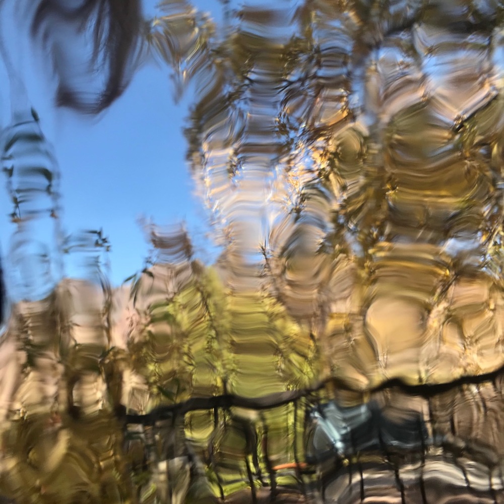 Meet your Posher, Edith